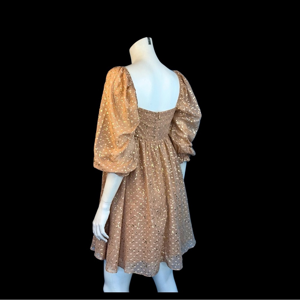 NWT Storia BABYDOLL Nude and a metallic Gold Mini Dress - Picture 6 of 10